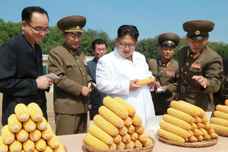 Loat anh nhung hoat dong cua lanh dao Trieu Tien Kim Jong-un-Hinh-13